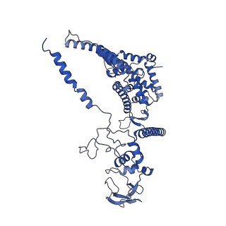 32325_7w5z_5b_v1-2
Cryo-EM structure of Tetrahymena thermophila mitochondrial complex IV, composite dimer model