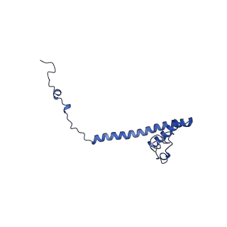 32325_7w5z_6A_v1-2
Cryo-EM structure of Tetrahymena thermophila mitochondrial complex IV, composite dimer model