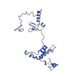 32325_7w5z_6B_v1-2
Cryo-EM structure of Tetrahymena thermophila mitochondrial complex IV, composite dimer model