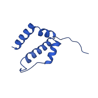 32325_7w5z_6L_v1-2
Cryo-EM structure of Tetrahymena thermophila mitochondrial complex IV, composite dimer model