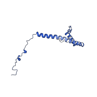 32325_7w5z_6a_v1-2
Cryo-EM structure of Tetrahymena thermophila mitochondrial complex IV, composite dimer model