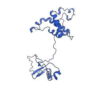 32325_7w5z_6b_v1-2
Cryo-EM structure of Tetrahymena thermophila mitochondrial complex IV, composite dimer model