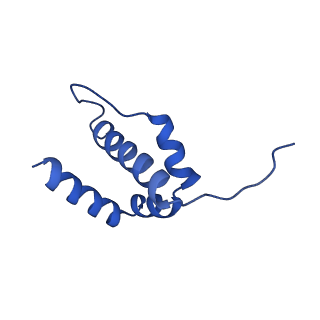 32325_7w5z_6l_v1-2
Cryo-EM structure of Tetrahymena thermophila mitochondrial complex IV, composite dimer model