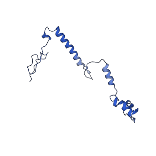 32325_7w5z_7A_v1-2
Cryo-EM structure of Tetrahymena thermophila mitochondrial complex IV, composite dimer model