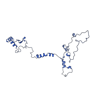 32325_7w5z_7C_v1-2
Cryo-EM structure of Tetrahymena thermophila mitochondrial complex IV, composite dimer model