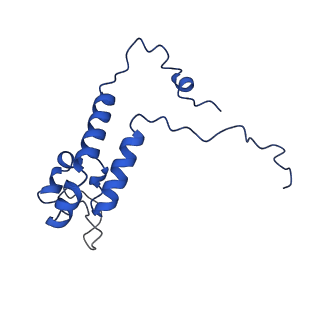 32325_7w5z_7L_v1-2
Cryo-EM structure of Tetrahymena thermophila mitochondrial complex IV, composite dimer model