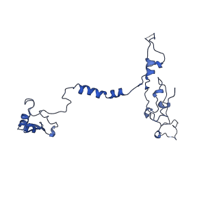 32325_7w5z_7c_v1-2
Cryo-EM structure of Tetrahymena thermophila mitochondrial complex IV, composite dimer model