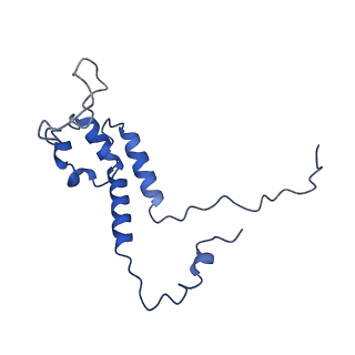 32325_7w5z_7l_v1-2
Cryo-EM structure of Tetrahymena thermophila mitochondrial complex IV, composite dimer model