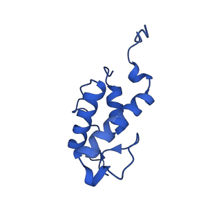 32325_7w5z_AC_v1-2
Cryo-EM structure of Tetrahymena thermophila mitochondrial complex IV, composite dimer model