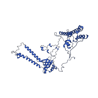 32325_7w5z_A_v1-2
Cryo-EM structure of Tetrahymena thermophila mitochondrial complex IV, composite dimer model
