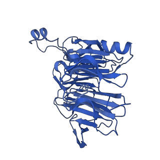 32325_7w5z_BP_v1-2
Cryo-EM structure of Tetrahymena thermophila mitochondrial complex IV, composite dimer model