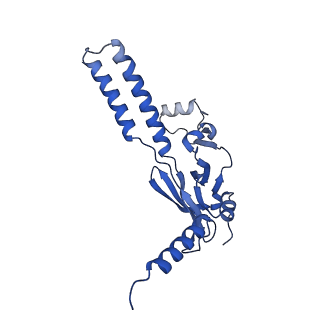 32325_7w5z_B_v1-2
Cryo-EM structure of Tetrahymena thermophila mitochondrial complex IV, composite dimer model