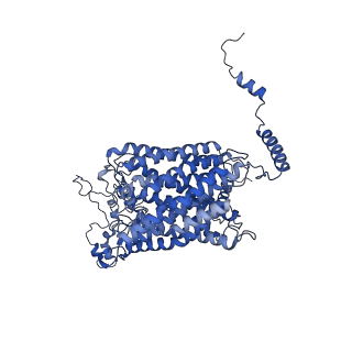 32325_7w5z_C1_v1-2
Cryo-EM structure of Tetrahymena thermophila mitochondrial complex IV, composite dimer model