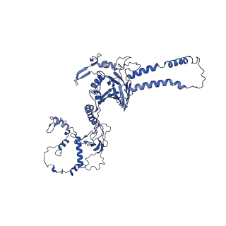 32325_7w5z_C2_v1-2
Cryo-EM structure of Tetrahymena thermophila mitochondrial complex IV, composite dimer model