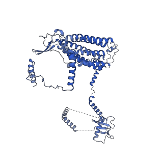 32325_7w5z_C3_v1-2
Cryo-EM structure of Tetrahymena thermophila mitochondrial complex IV, composite dimer model