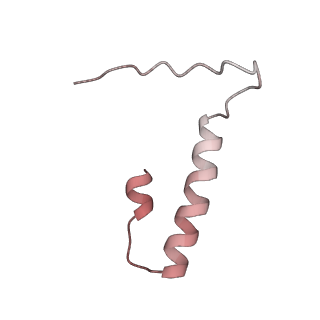 32325_7w5z_C_v1-2
Cryo-EM structure of Tetrahymena thermophila mitochondrial complex IV, composite dimer model