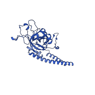 32325_7w5z_D_v1-2
Cryo-EM structure of Tetrahymena thermophila mitochondrial complex IV, composite dimer model