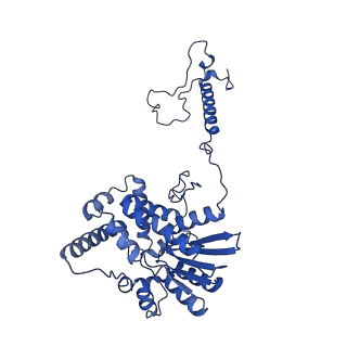 32325_7w5z_E_v1-2
Cryo-EM structure of Tetrahymena thermophila mitochondrial complex IV, composite dimer model