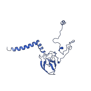 32325_7w5z_FS_v1-2
Cryo-EM structure of Tetrahymena thermophila mitochondrial complex IV, composite dimer model