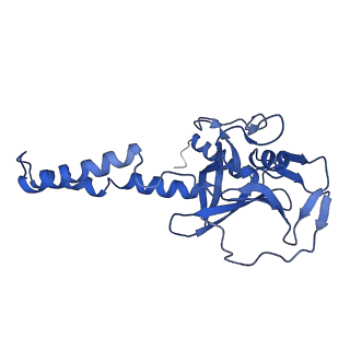32325_7w5z_F_v1-2
Cryo-EM structure of Tetrahymena thermophila mitochondrial complex IV, composite dimer model