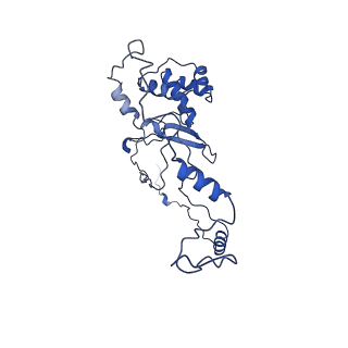 32325_7w5z_G_v1-2
Cryo-EM structure of Tetrahymena thermophila mitochondrial complex IV, composite dimer model