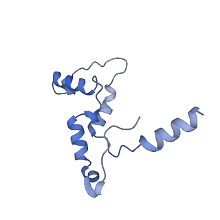 32325_7w5z_I_v1-2
Cryo-EM structure of Tetrahymena thermophila mitochondrial complex IV, composite dimer model