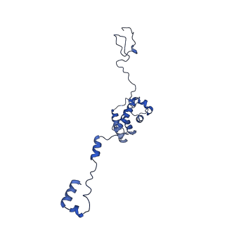 32325_7w5z_K_v1-2
Cryo-EM structure of Tetrahymena thermophila mitochondrial complex IV, composite dimer model