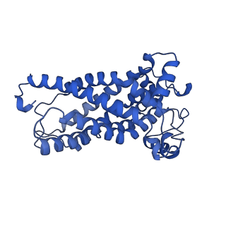 32325_7w5z_M2_v1-2
Cryo-EM structure of Tetrahymena thermophila mitochondrial complex IV, composite dimer model