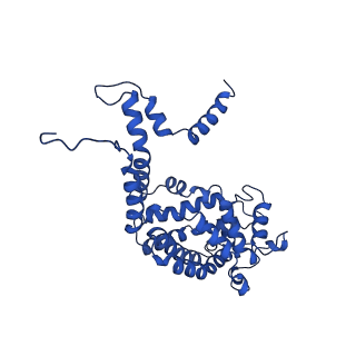 32325_7w5z_M3_v1-2
Cryo-EM structure of Tetrahymena thermophila mitochondrial complex IV, composite dimer model