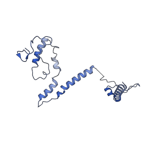 32325_7w5z_M_v1-2
Cryo-EM structure of Tetrahymena thermophila mitochondrial complex IV, composite dimer model