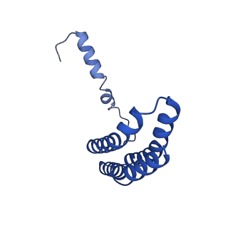 32325_7w5z_O_v1-2
Cryo-EM structure of Tetrahymena thermophila mitochondrial complex IV, composite dimer model