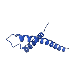 32325_7w5z_T1_v1-2
Cryo-EM structure of Tetrahymena thermophila mitochondrial complex IV, composite dimer model