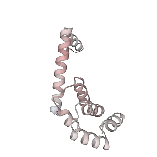 32325_7w5z_U2_v1-2
Cryo-EM structure of Tetrahymena thermophila mitochondrial complex IV, composite dimer model