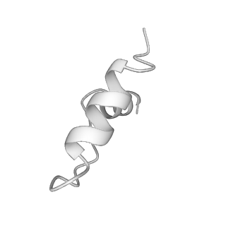 32325_7w5z_U3_v1-2
Cryo-EM structure of Tetrahymena thermophila mitochondrial complex IV, composite dimer model