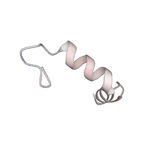32325_7w5z_U5_v1-2
Cryo-EM structure of Tetrahymena thermophila mitochondrial complex IV, composite dimer model