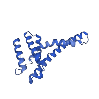32325_7w5z_U_v1-2
Cryo-EM structure of Tetrahymena thermophila mitochondrial complex IV, composite dimer model