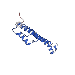 32325_7w5z_X_v1-2
Cryo-EM structure of Tetrahymena thermophila mitochondrial complex IV, composite dimer model