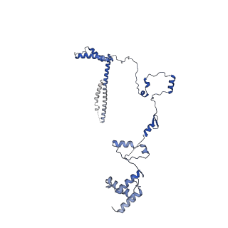 32325_7w5z_Y7_v1-2
Cryo-EM structure of Tetrahymena thermophila mitochondrial complex IV, composite dimer model