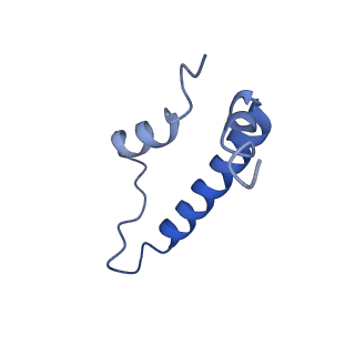 32325_7w5z_Z_v1-2
Cryo-EM structure of Tetrahymena thermophila mitochondrial complex IV, composite dimer model