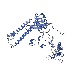 32325_7w5z_a_v1-2
Cryo-EM structure of Tetrahymena thermophila mitochondrial complex IV, composite dimer model