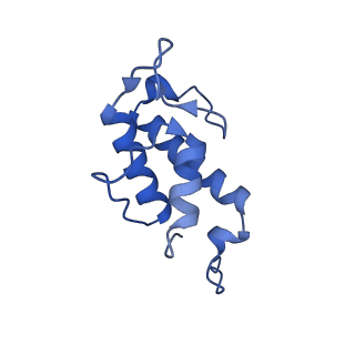 32325_7w5z_ac_v1-2
Cryo-EM structure of Tetrahymena thermophila mitochondrial complex IV, composite dimer model