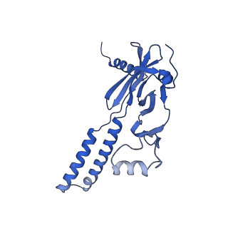 32325_7w5z_b_v1-2
Cryo-EM structure of Tetrahymena thermophila mitochondrial complex IV, composite dimer model