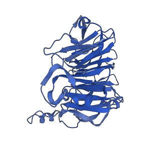 32325_7w5z_bp_v1-2
Cryo-EM structure of Tetrahymena thermophila mitochondrial complex IV, composite dimer model