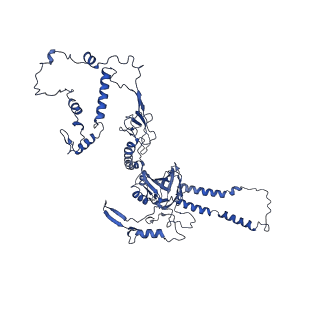 32325_7w5z_c2_v1-2
Cryo-EM structure of Tetrahymena thermophila mitochondrial complex IV, composite dimer model