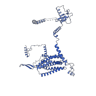 32325_7w5z_c3_v1-2
Cryo-EM structure of Tetrahymena thermophila mitochondrial complex IV, composite dimer model