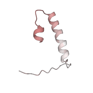 32325_7w5z_c_v1-2
Cryo-EM structure of Tetrahymena thermophila mitochondrial complex IV, composite dimer model