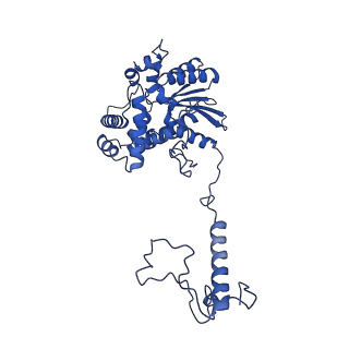 32325_7w5z_e_v1-2
Cryo-EM structure of Tetrahymena thermophila mitochondrial complex IV, composite dimer model