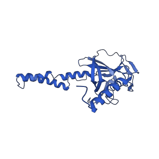 32325_7w5z_f_v1-2
Cryo-EM structure of Tetrahymena thermophila mitochondrial complex IV, composite dimer model