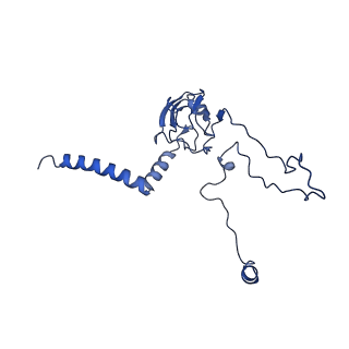 32325_7w5z_fs_v1-2
Cryo-EM structure of Tetrahymena thermophila mitochondrial complex IV, composite dimer model