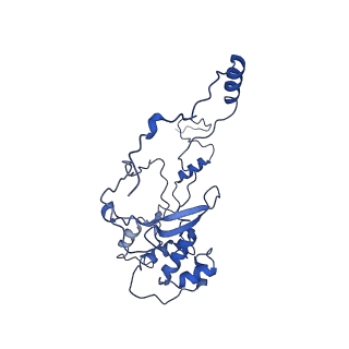 32325_7w5z_g_v1-2
Cryo-EM structure of Tetrahymena thermophila mitochondrial complex IV, composite dimer model